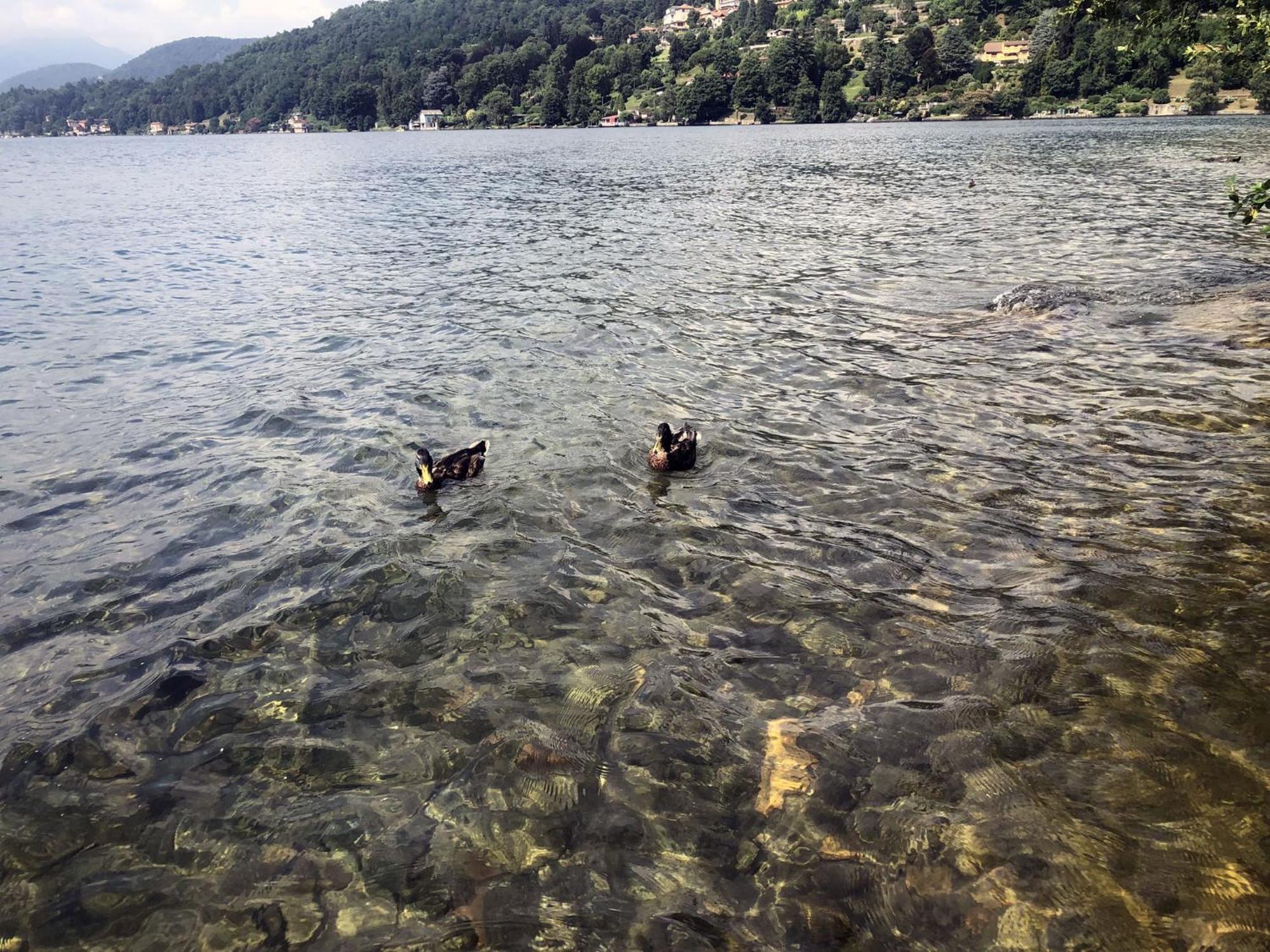 Appartamento Vacanze Al Lago オルタ・サン・ジューリオ エクステリア 写真